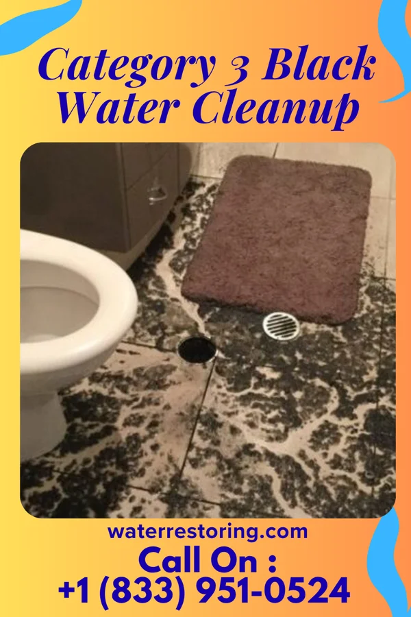 Category 3 Black Water Cleanup in Calera, OK