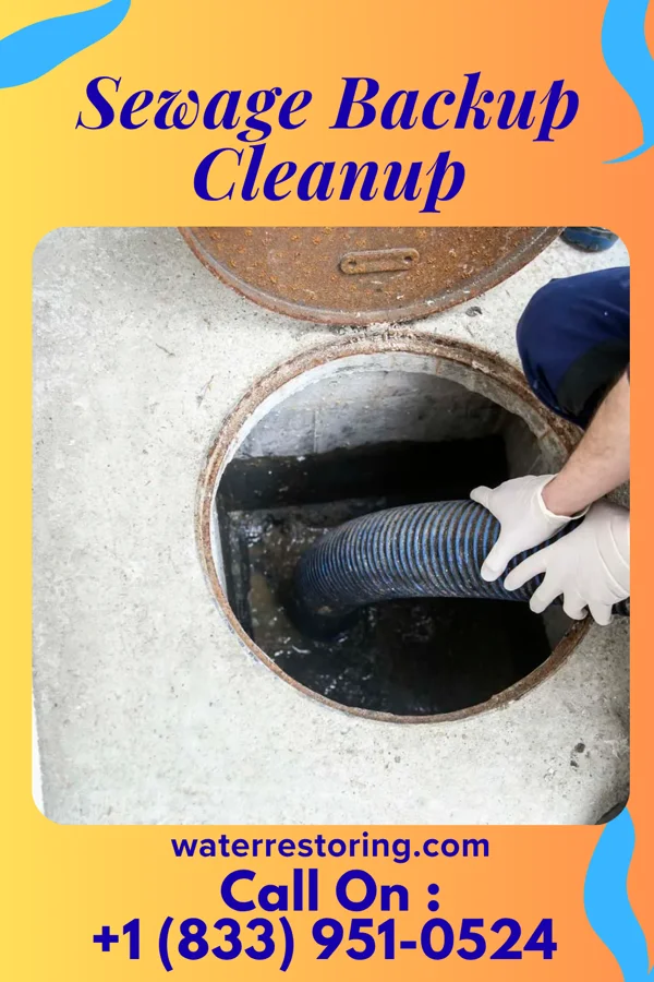 Sewage Backup Cleanup in Calera, OK