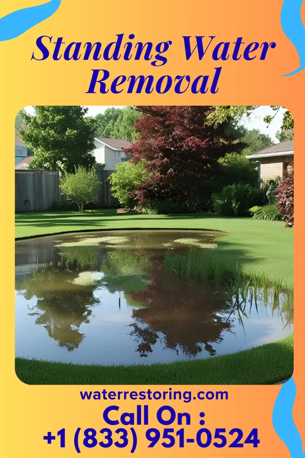Standing Water Removal in Calera, OK